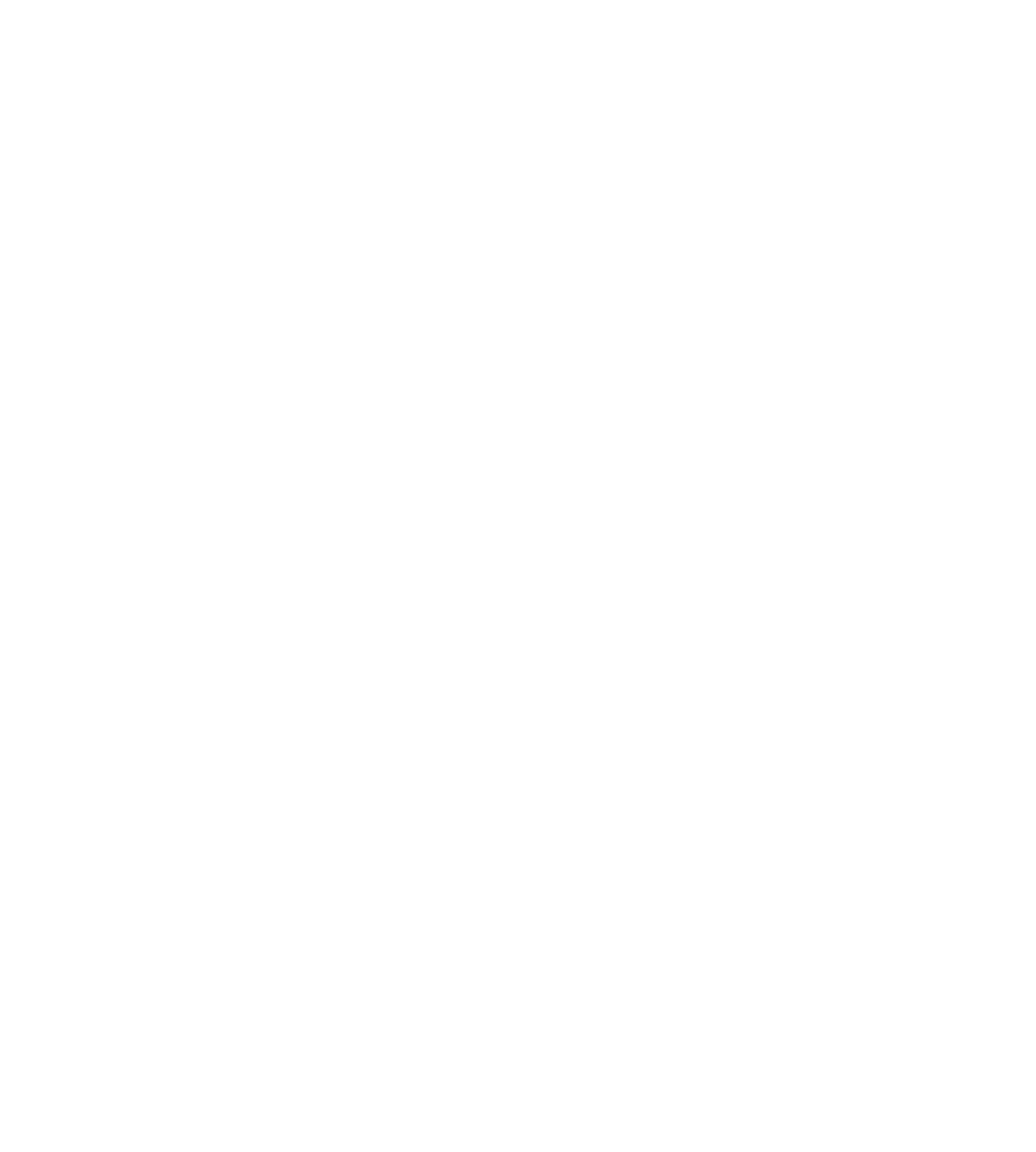 nicolasggLogo